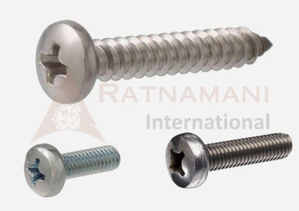 Pan Philips Screw