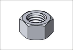 Hex Nut